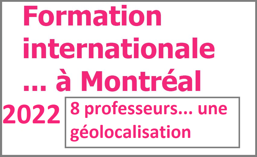 FormationProfessoraleInternationale2020